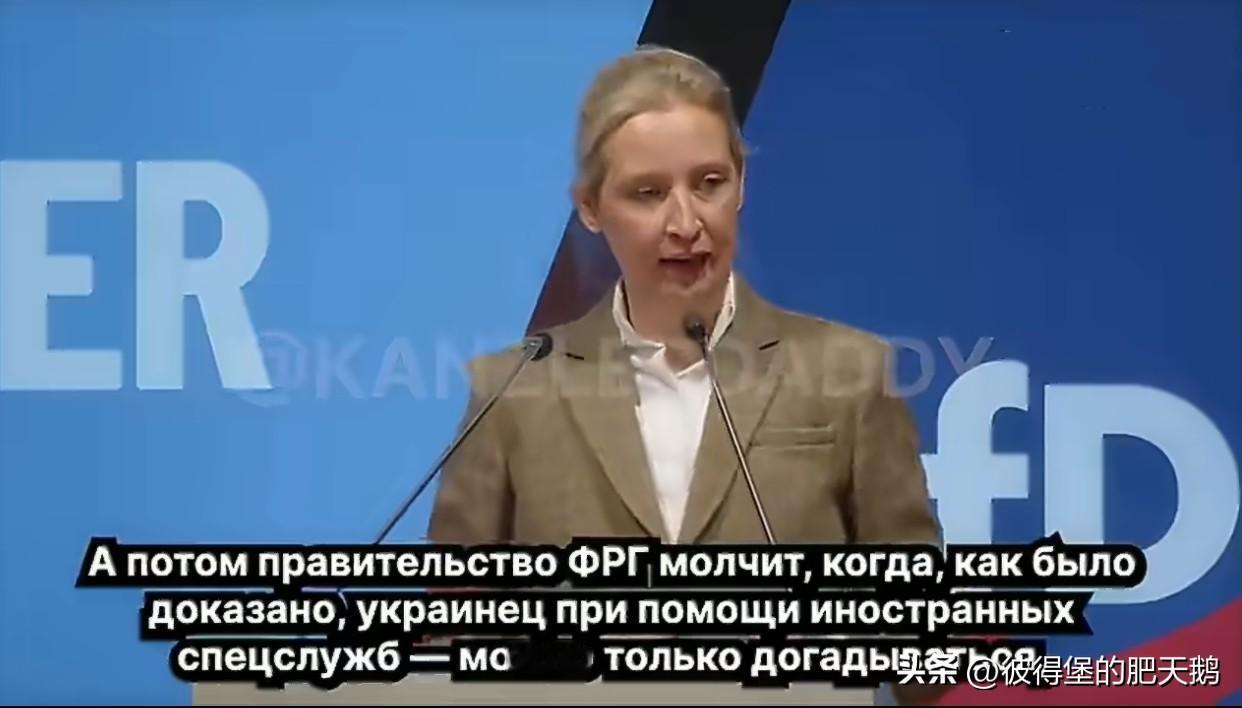 魏德尔对柏林和基辅的最后通牒：“让泽连斯基买单！”“德国选择党”领袖魏德尔怒