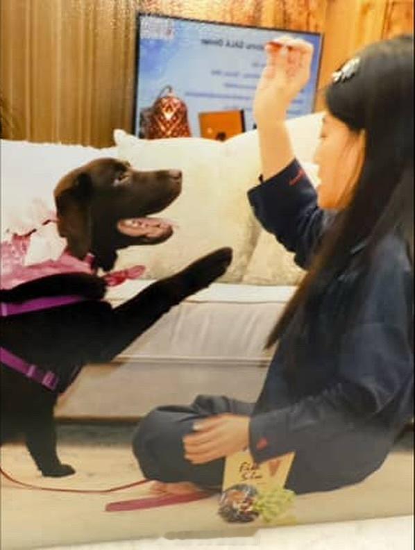 王室王室泰国王室镇宅镇宅和她的宠物。​​​