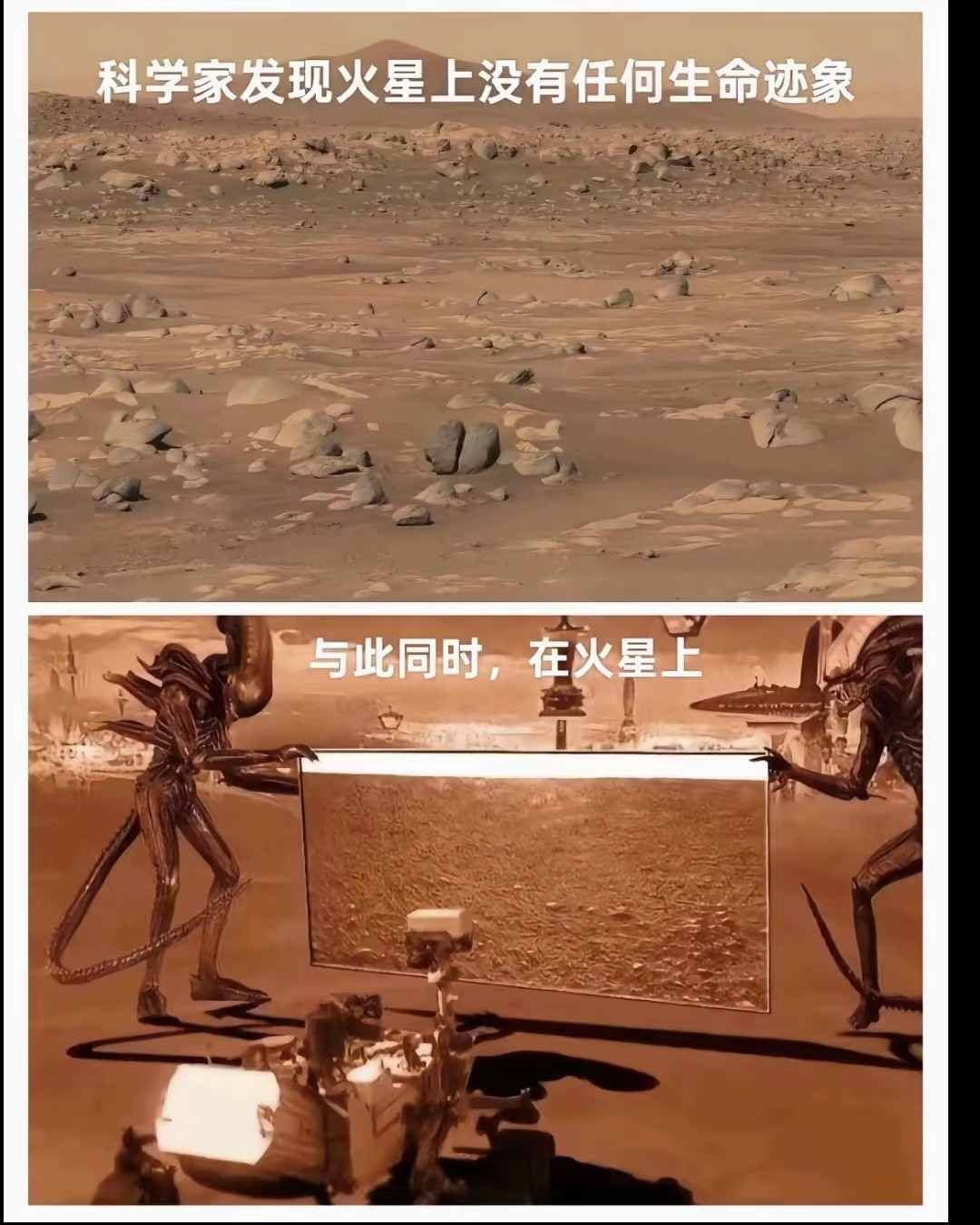 啊？啊！周一哪有不疯的​​​