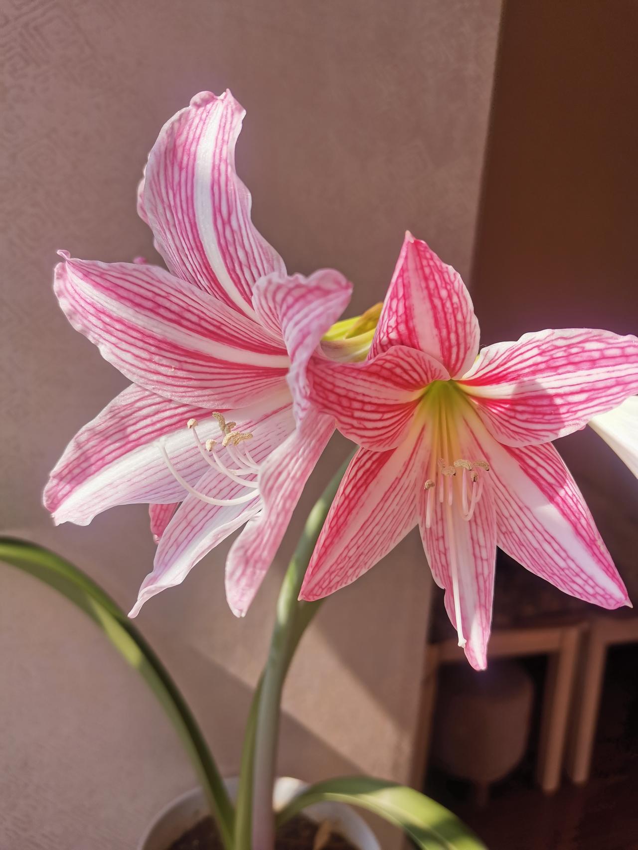 为什么培训班的老师都和蔼可亲？“妈妈，刘老师在培训班上课比在学校上课温柔多了