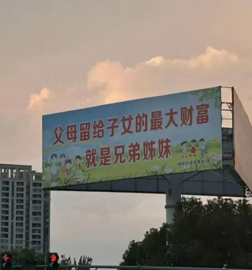 要想生活好，早晚生三宝，一个两个都是养，再生一个又何妨。父母留给子女的财富是兄弟