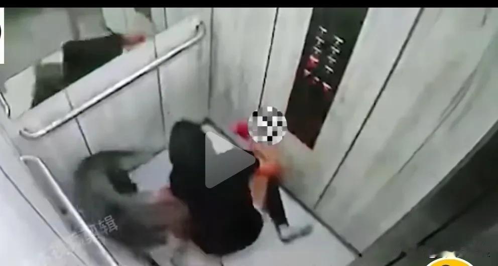 女人带着一只平日里像儿子般养着的大型犬走进电梯。关好门后，狗狗突然扑向女主人，女