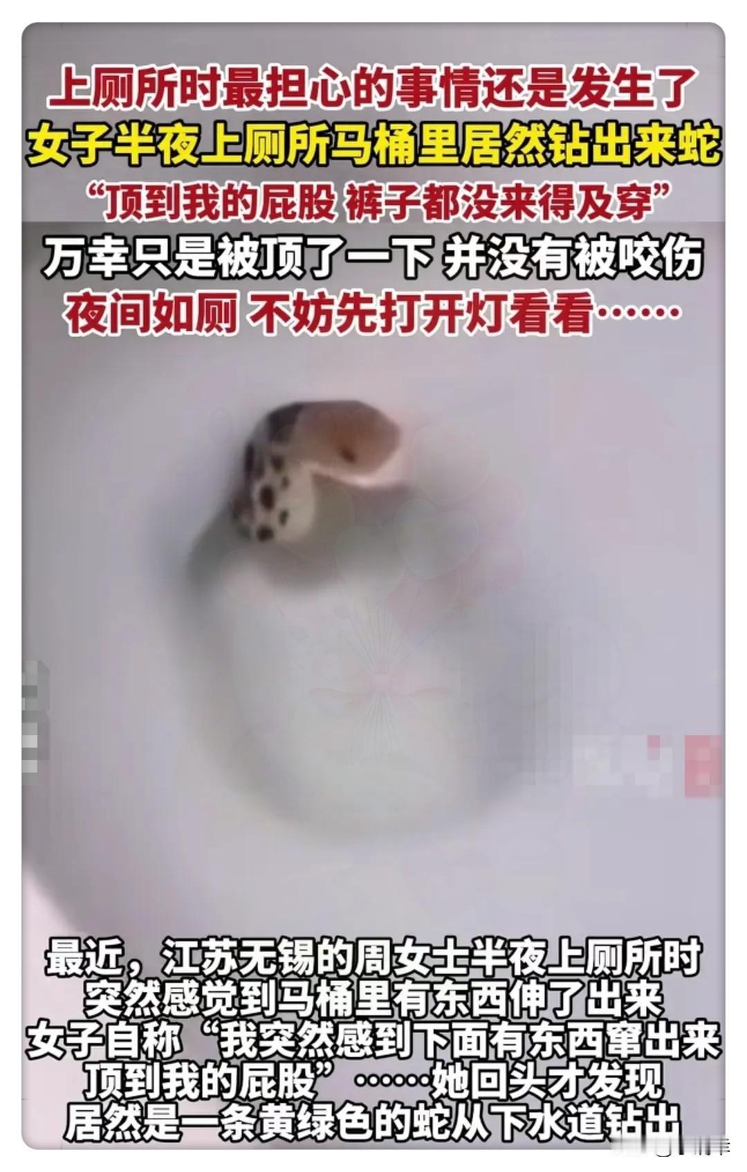 最担心的事还是发生了！无锡一楼大姐深夜上厕所，屁股竟被蛇“偷袭”？这不是恐