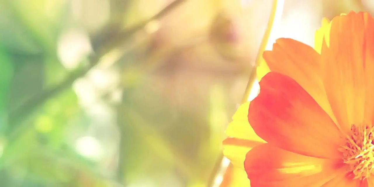 水瓶座的哥们姐们儿，今天这天儿可不赖，空气里头仿佛多了一丝暖流，让人忍不住想多笑