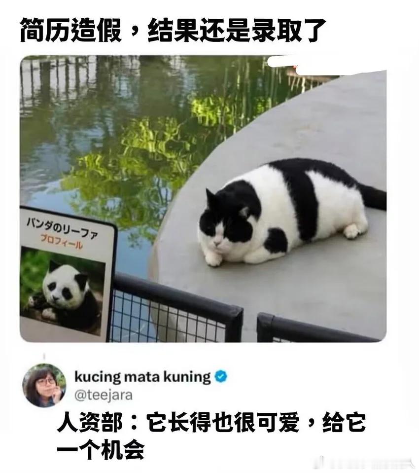 没事，毕竟日本不缺熊