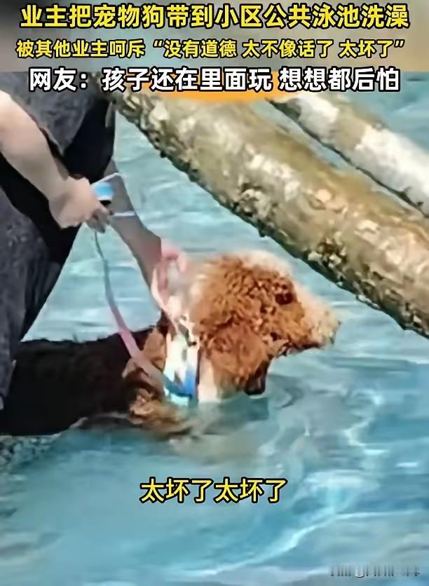 “太不像话了！”安徽，一男子到小区游泳池游泳，却发现一名女业主竟然把自家的宠物狗
