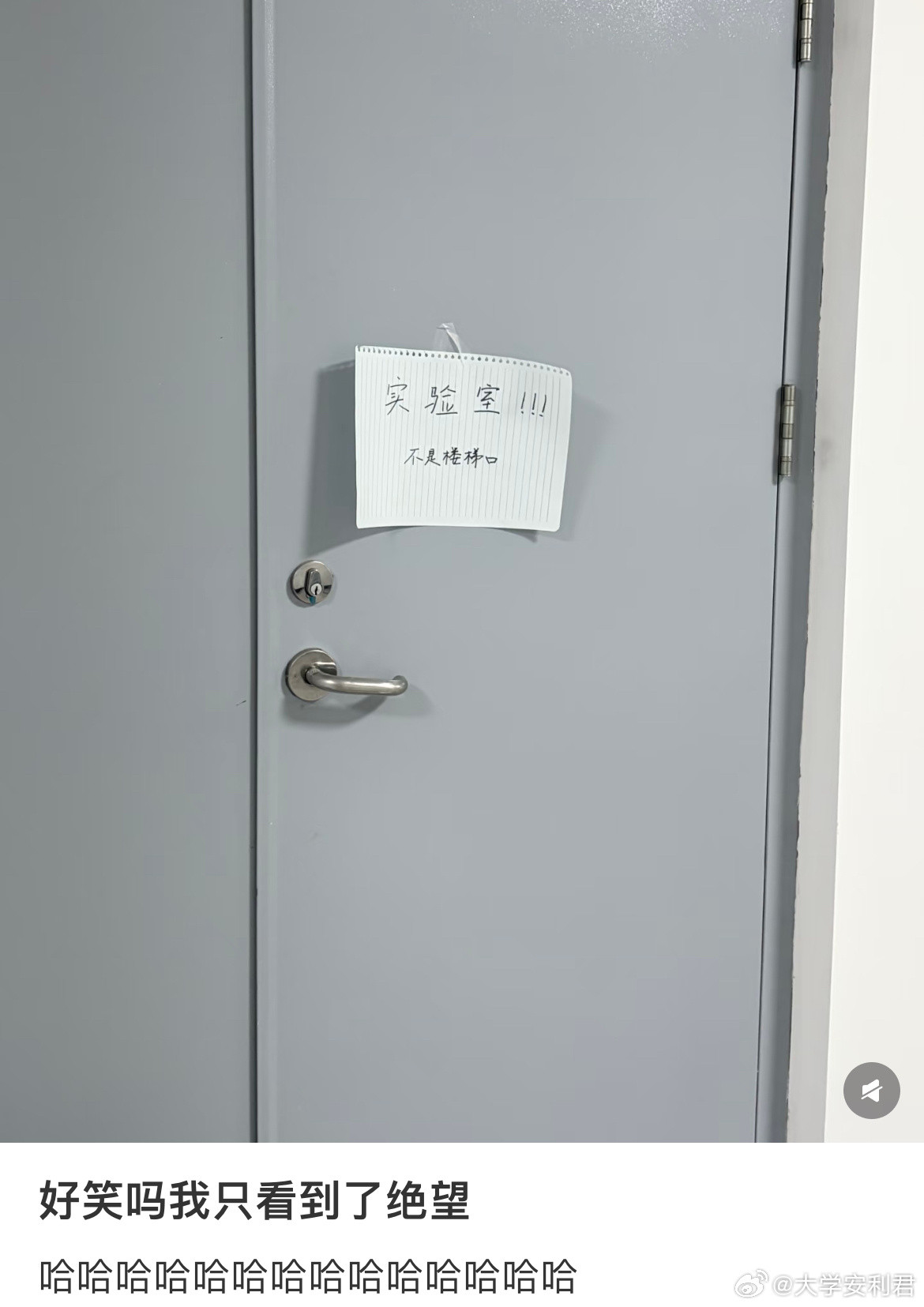 好笑吗我只看到了绝望。