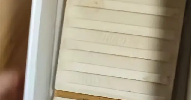 年会抽奖惊现'苹果变瓷砖'反转！主任伪造发票被罚，员工维权获赔