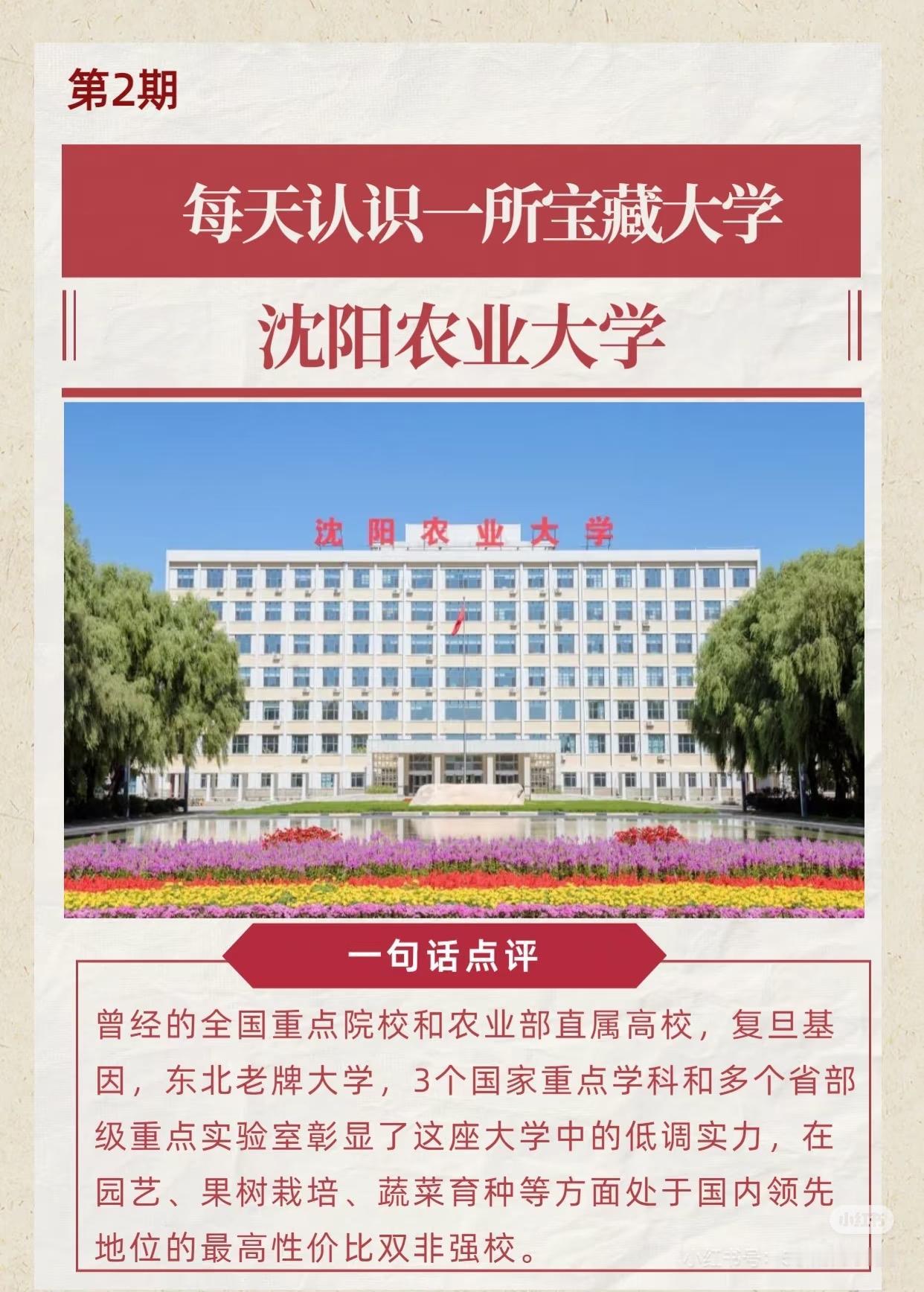 发现一个细节，就是沈阳农业大学2025校园歌手大赛决赛第三轮，5号阮杨婉平唱《如