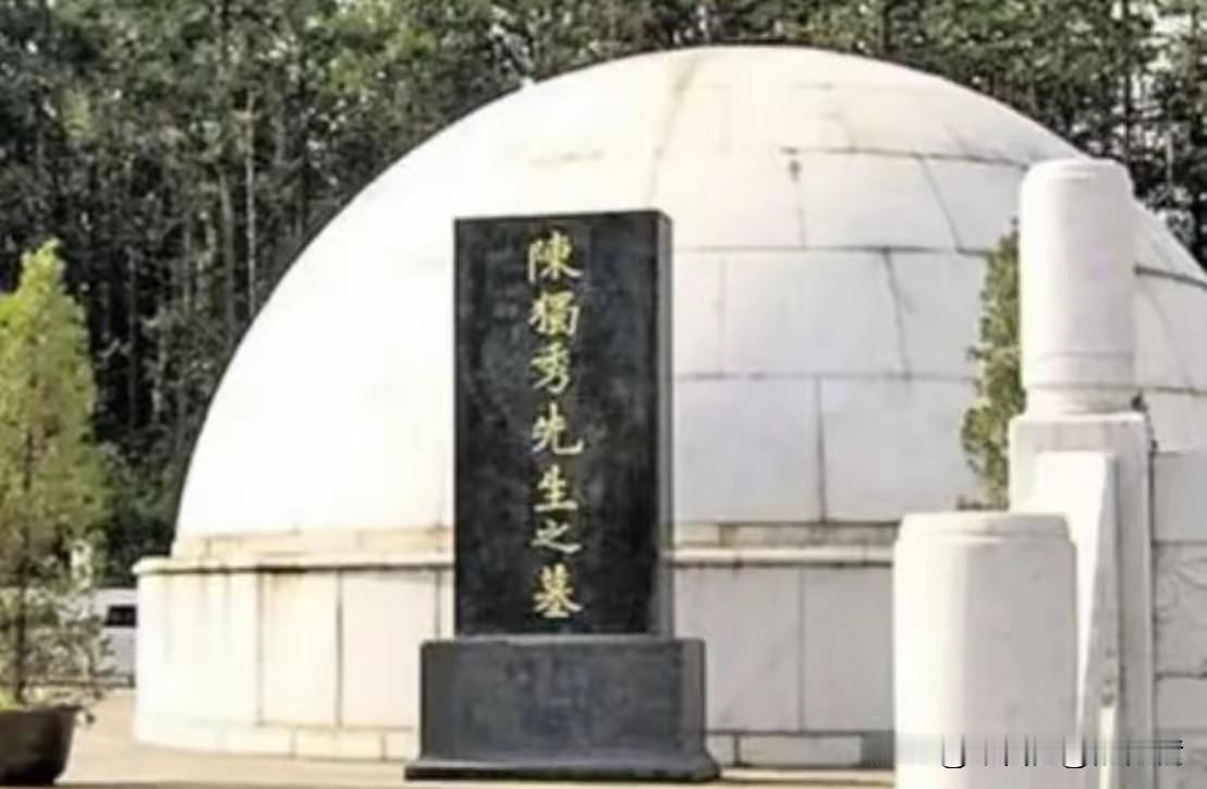 1990年9月，安庆北郊叶家冲，山坡上长满杂草。赵朴初83岁了，下车后有人要