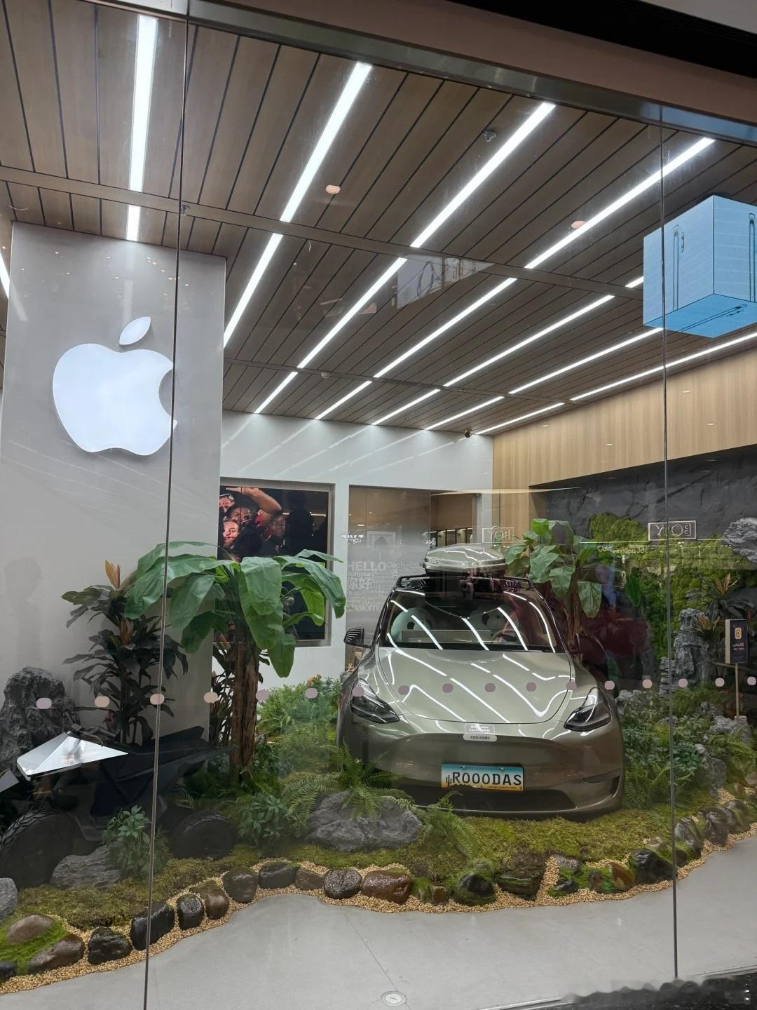 哈哈看到真苹果汽车了特斯拉居然在苹果专卖店里面