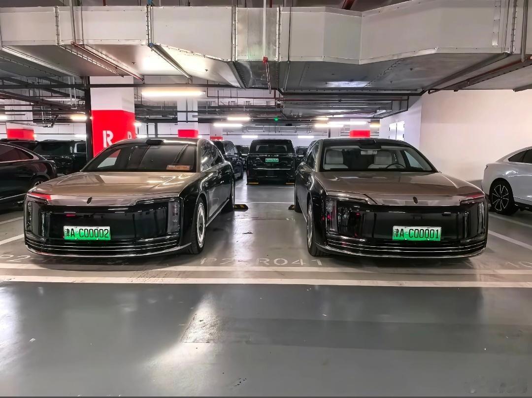 据说，这两辆尊界S800是用于2025天津夏季达沃斯论坛的商务用车，其实从车牌号