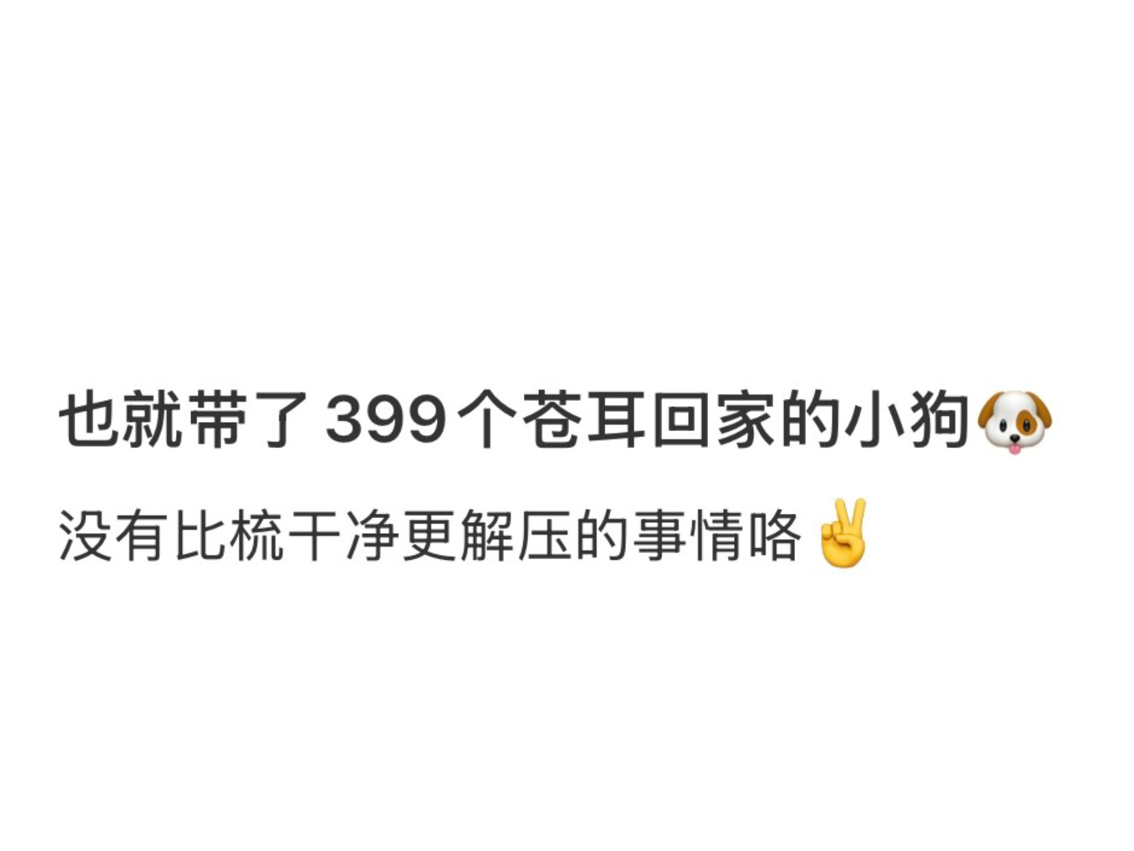 小狗带了399个苍耳回家[跪了]​​​