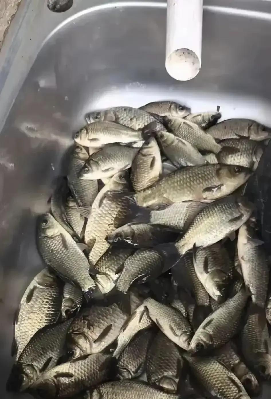我老公是个贪便宜的人，什么便宜都贪，这是在小区门口买的，除了这，旁边还有半桶，好