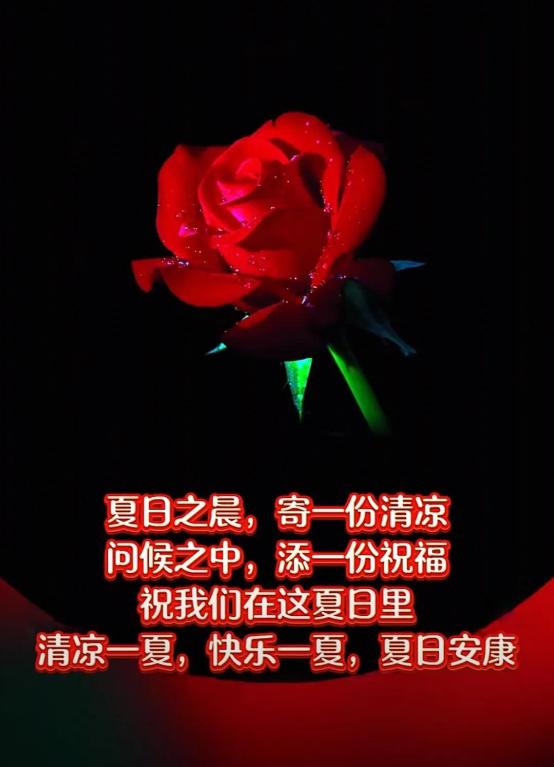 人生真的快樂，不是長聚之歡，而是久處不散，無論多久不見，心中總是牽掛，