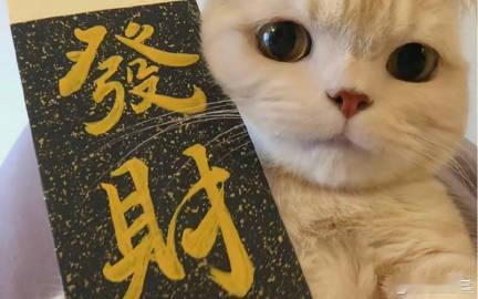 vplus足球狂欢季每日足球推荐竞彩足球欧洲预选01:00立陶宛vs芬兰留学