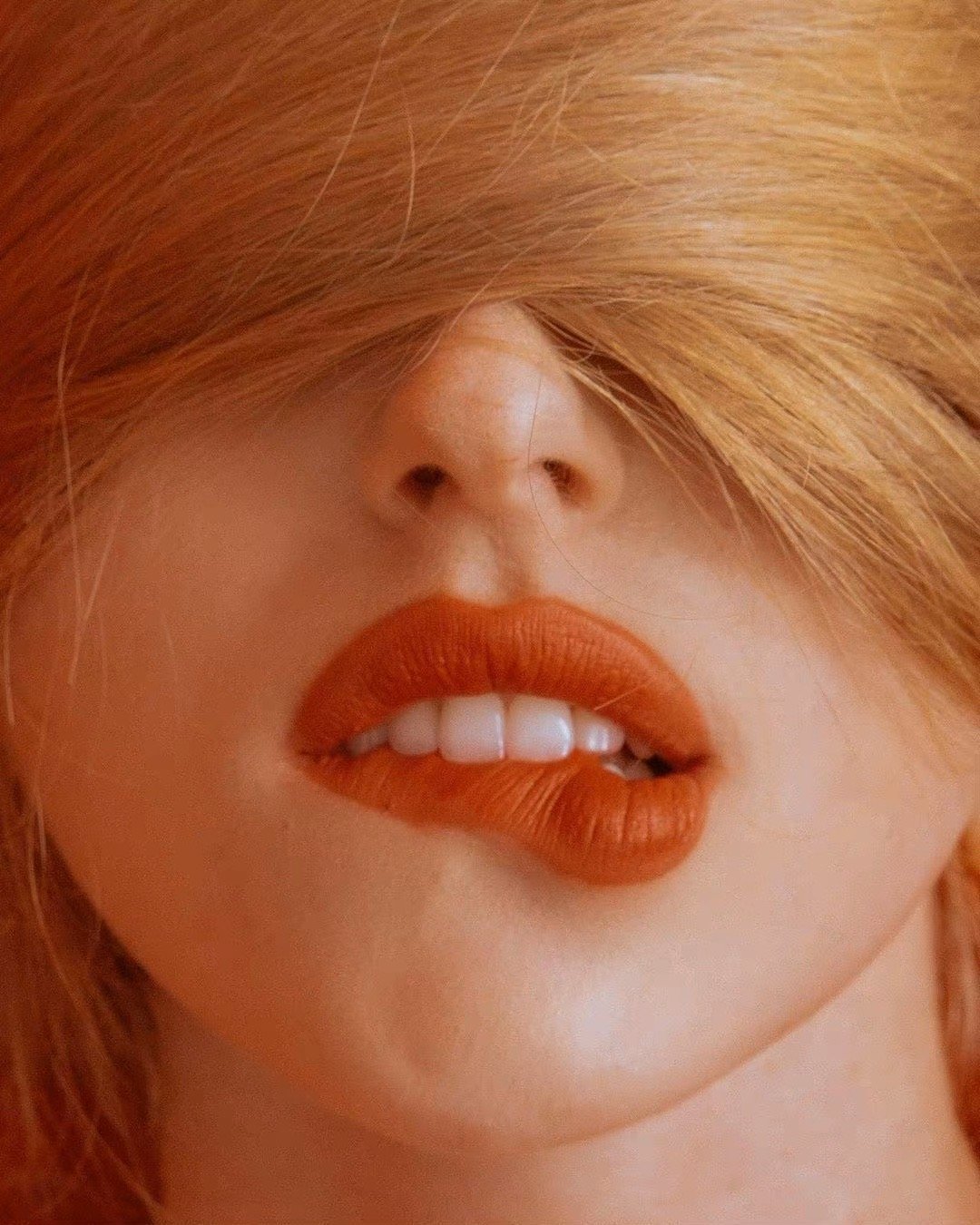 熱烈的橙摄影jimmymarble