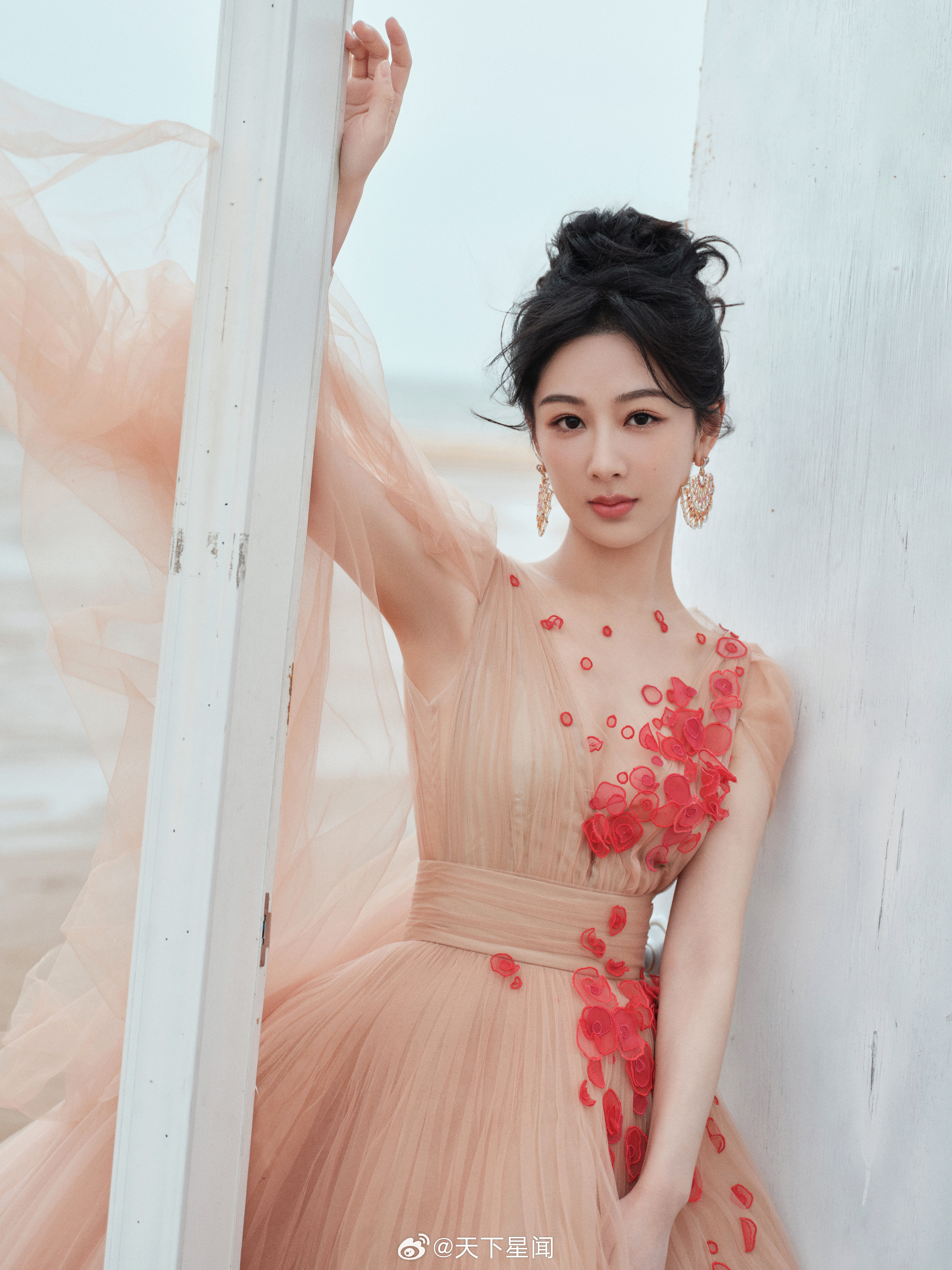 杨紫​​​