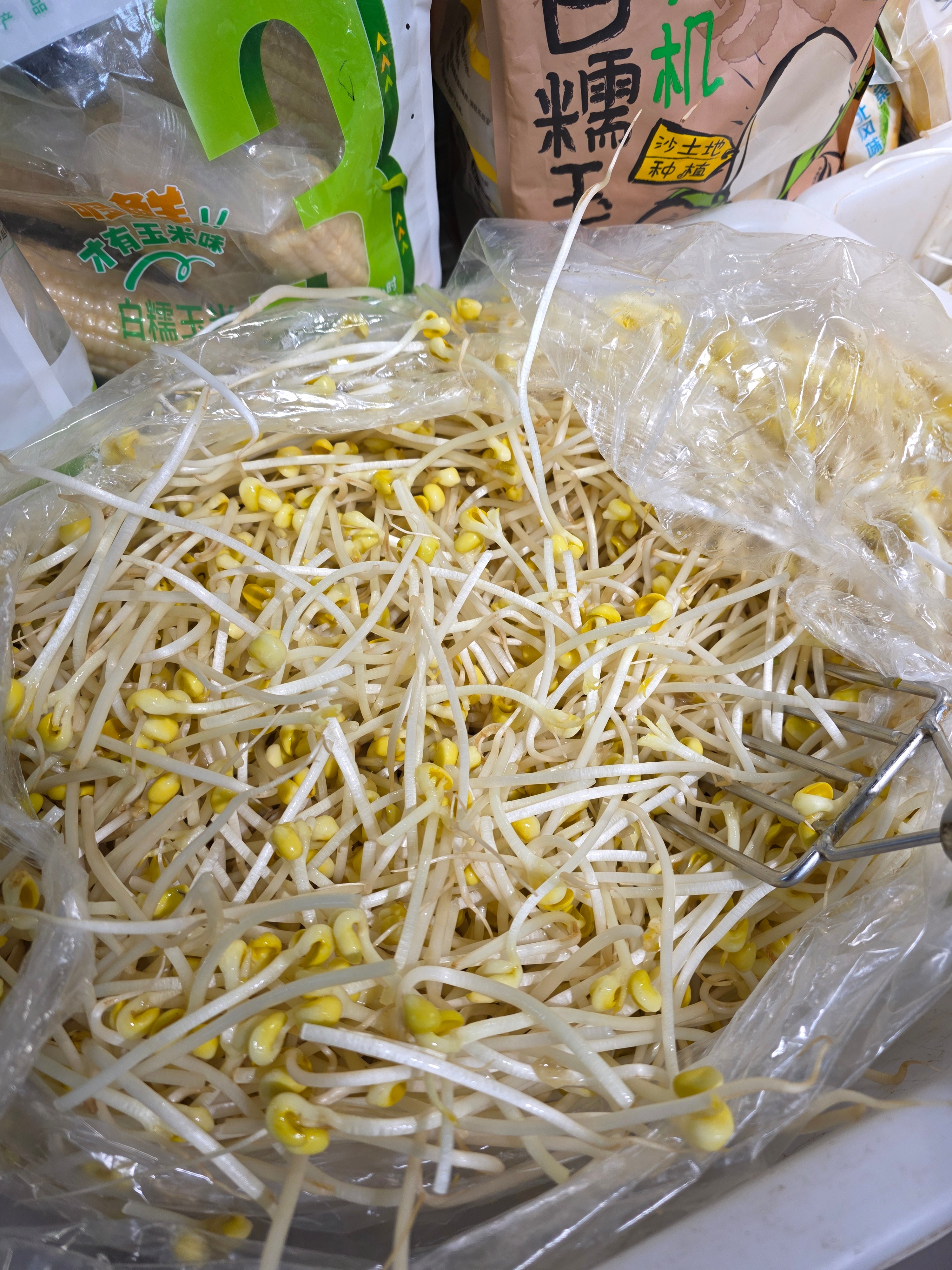 水煮肉片，用黄豆芽还是绿豆芽？