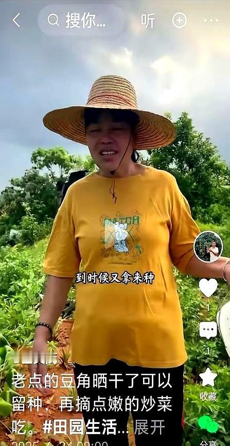 奥运冠军母亲烈日下摘豆角全红婵父母拒离农村40℃高温下，全红婵母亲还在豆