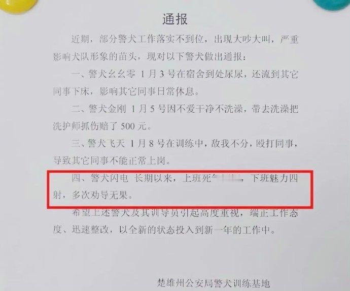 警犬也会被通报批评哈哈哈哈​​​