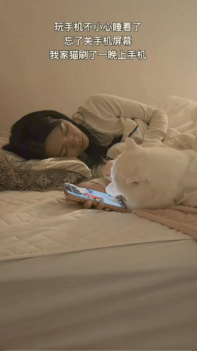 “太有灵性了！”广东，一女子躺床上玩手机，玩着玩着就睡着了，手机也没关，结果没想