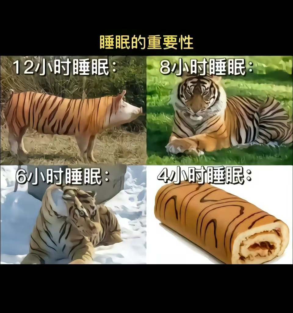 睡眠的重要性