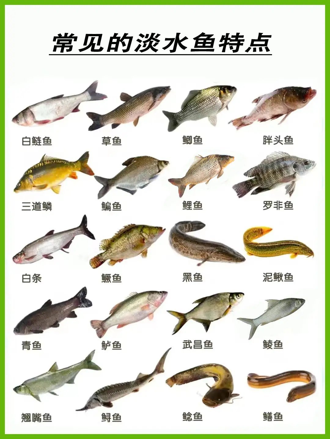 爱吃