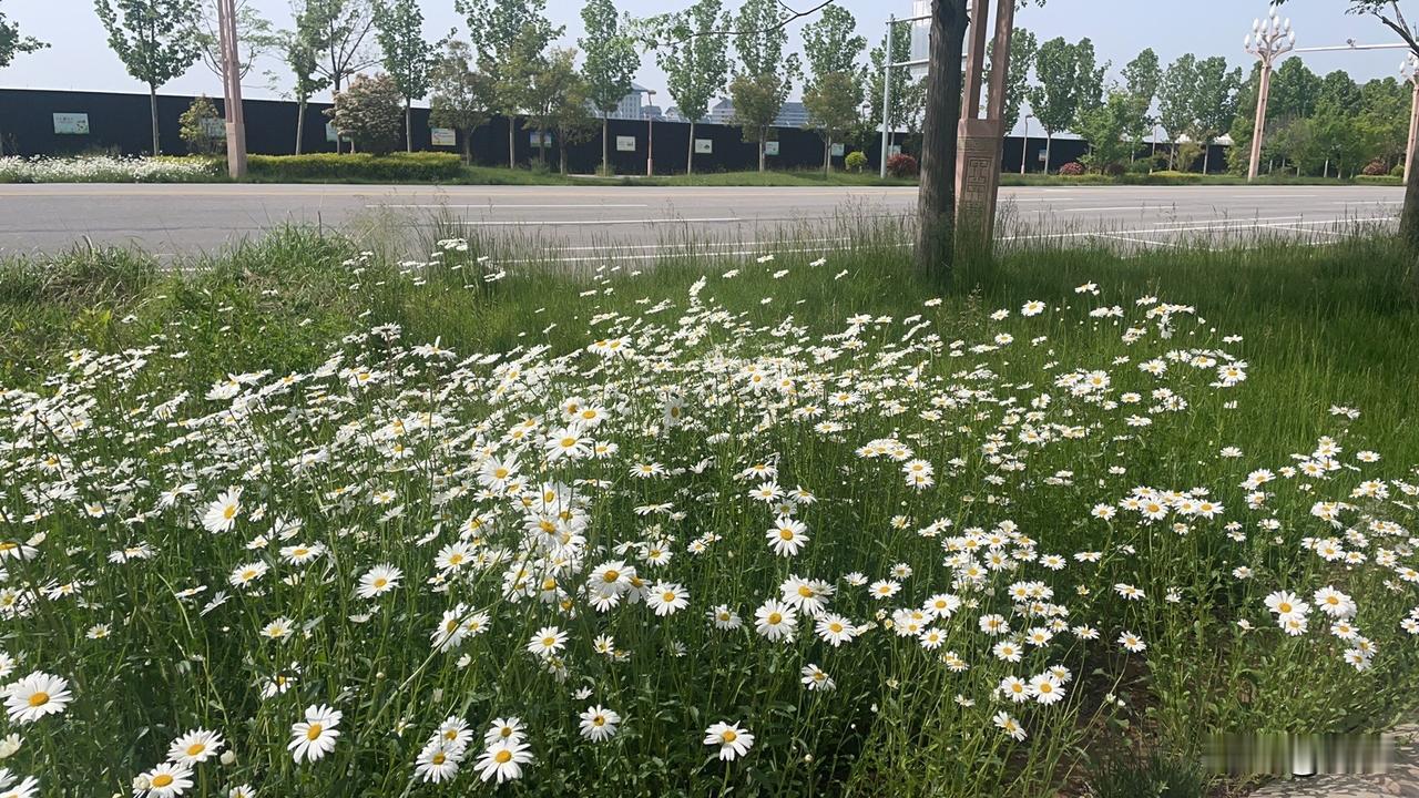 【七绝•莫误春时得种田】莫误春时得种田，归来枕梦抱书眠。一壶美酒随风饮，醉了