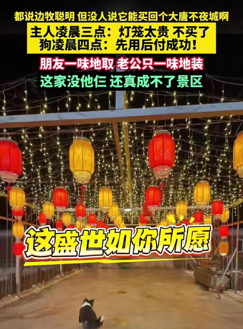 笑不活了？吉林，林女士快过年了想买几个灯笼，挑来挑去嫌300块太贵纠结到半夜没舍