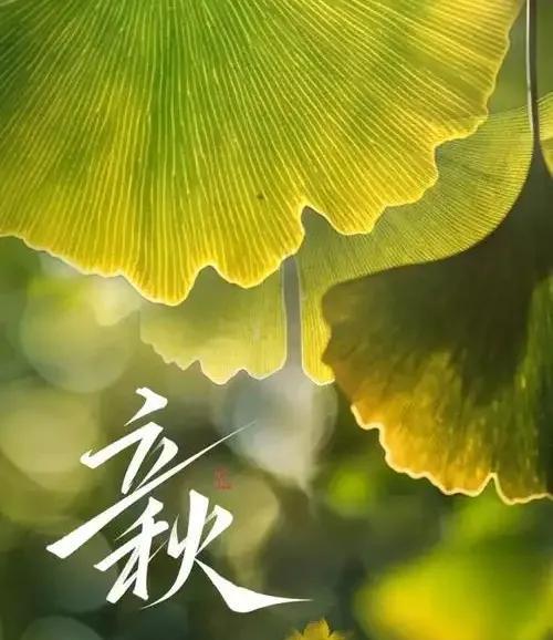 今日立秋，民间有躲秋的说法，属蛇、猪、猴、虎的人要在立秋交接时节前后一小时避免外