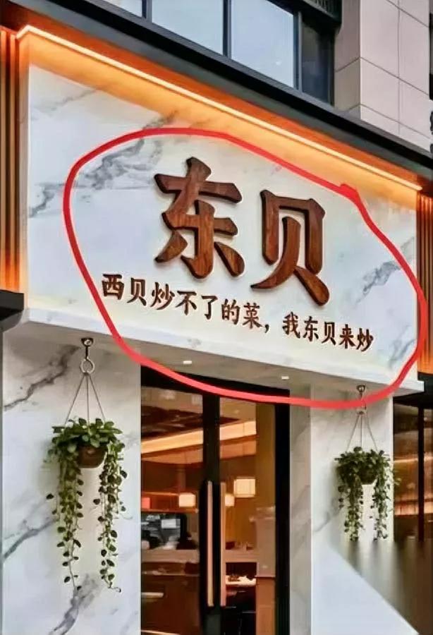 贾国龙最近睡不好——隔壁开了家“东贝”，招牌字比他的西北菜还冲。你看
