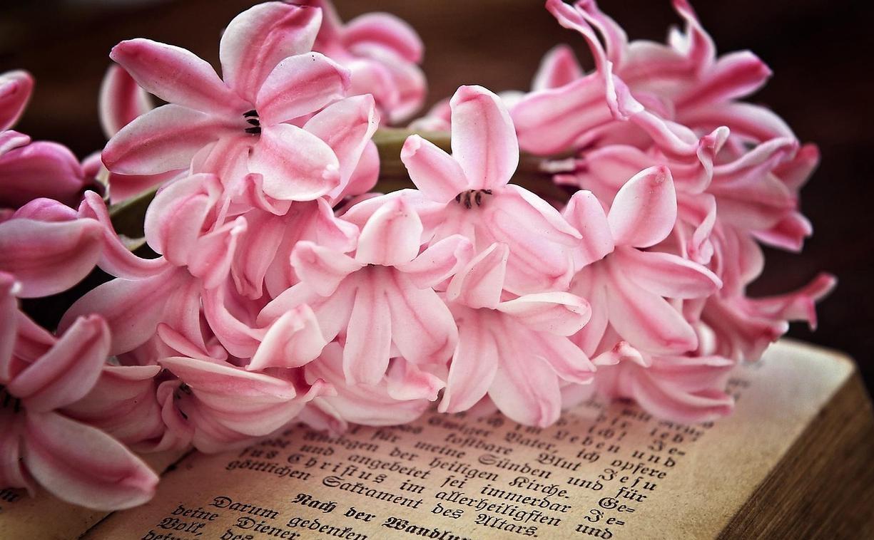 人比较欣慰的就是孩子虽然身处远方，依然对家有挂念！​孩子上大学之前都一直没有离