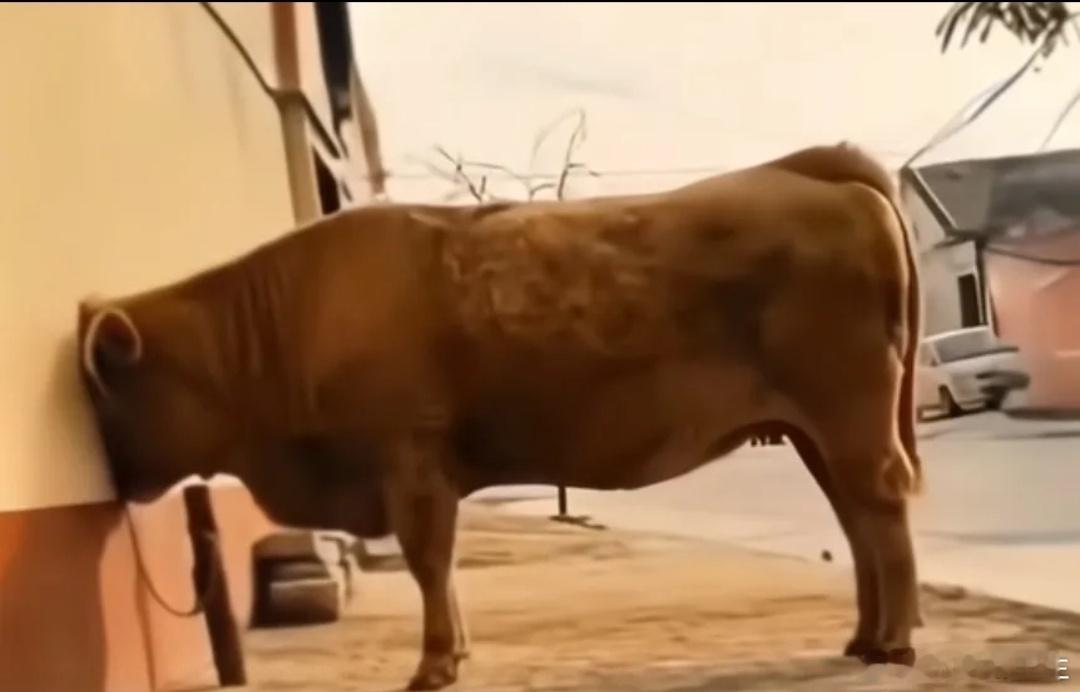 关注小财神半年或一年以上的老粉丝应该知道，在今天3月底我买了一只电池股G轩某科，