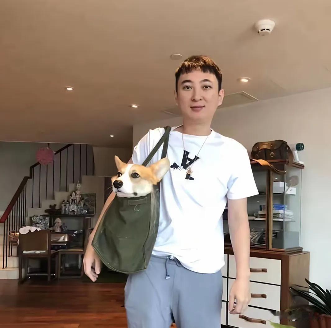王思聪在江西成立新公司，投资上千万元。不怕富二代吃喝玩乐，就怕富二代创业。王思聪