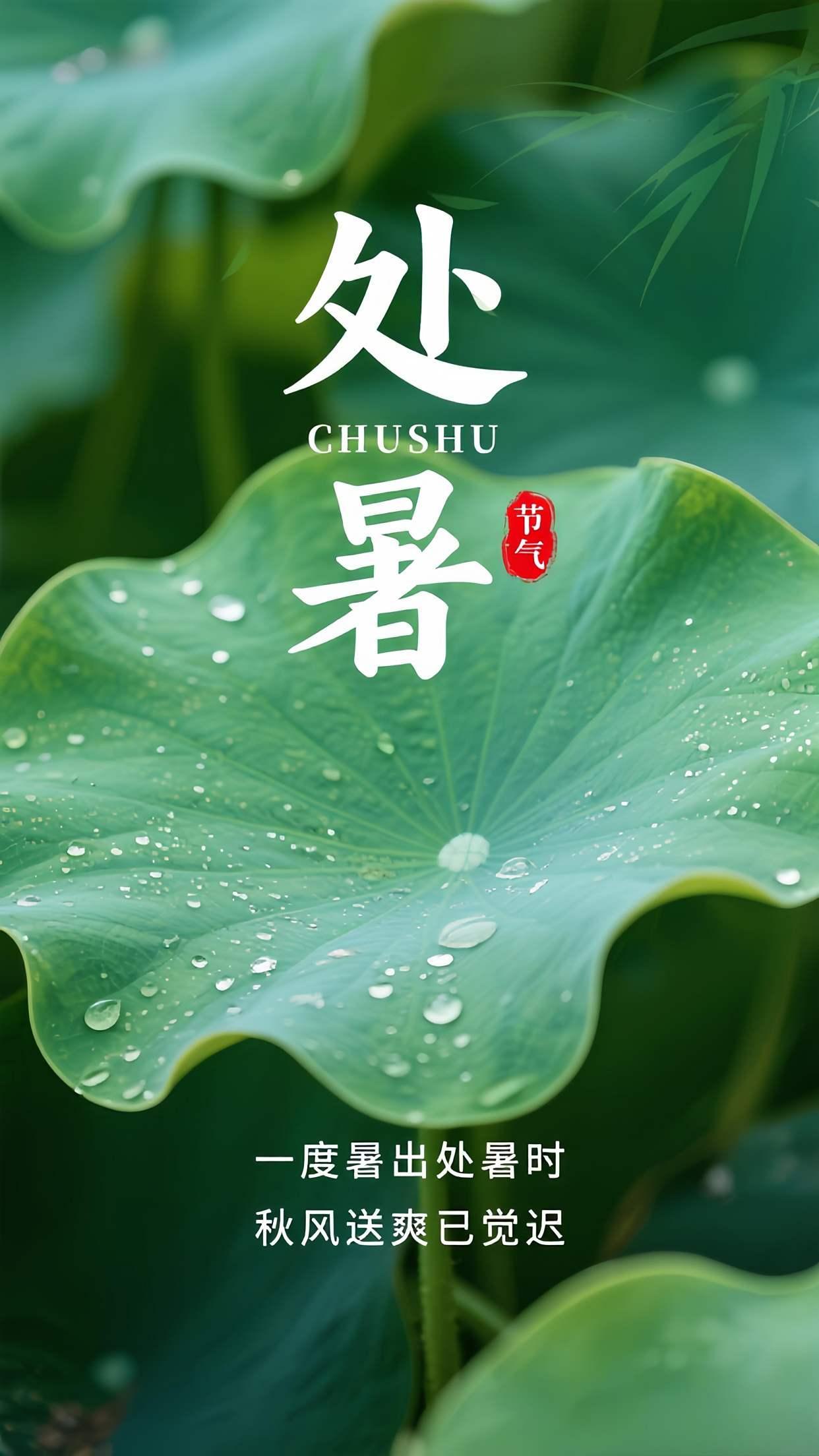 早安，你好，今日处暑，一叶梧桐天下秋，雨落荷塘稻翻涌。处暑，是夏的收藏，是秋的序