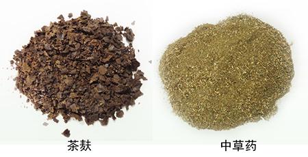 中药茶麸洗头和生姜洗头哪个好