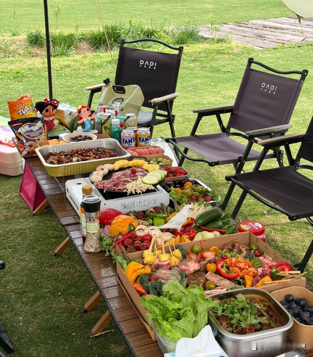 大家平时露营都是什么样子的，准备很多食材，这下可以好好吃一顿了