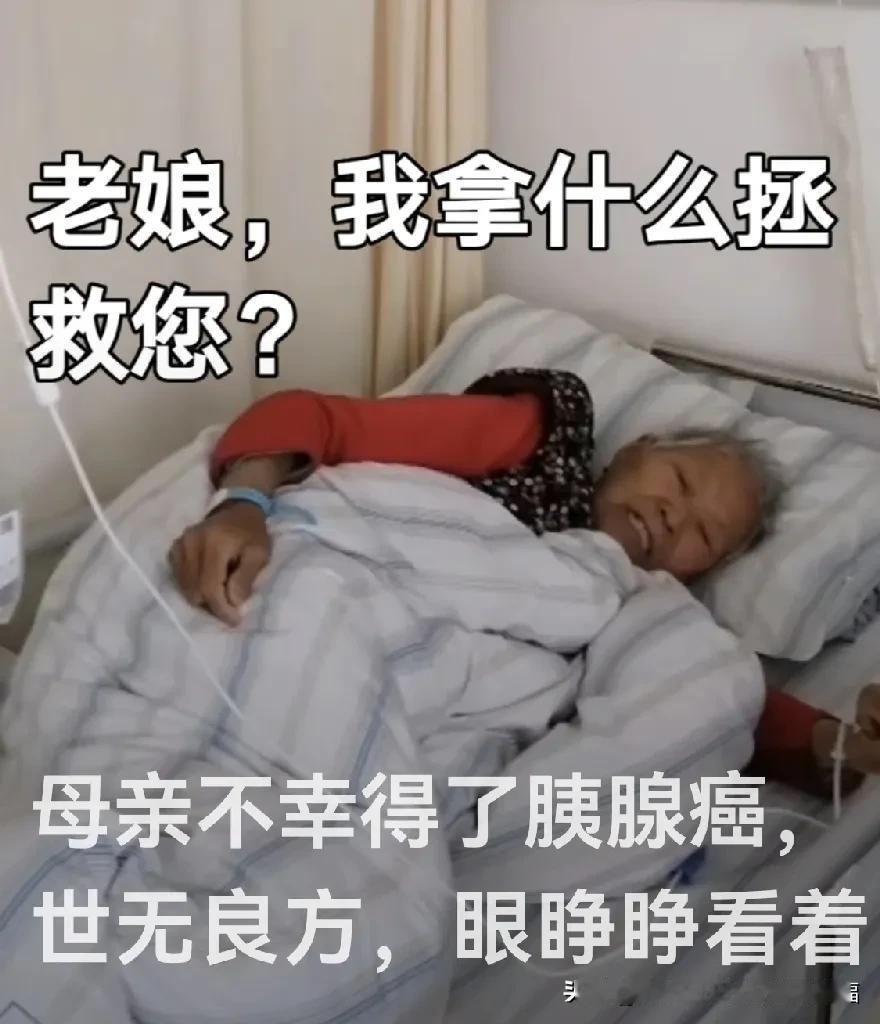 妈妈，想你了。假如你健在，今年才刚刚八十岁，您最疼的曾孙子已经四岁半了，他非常