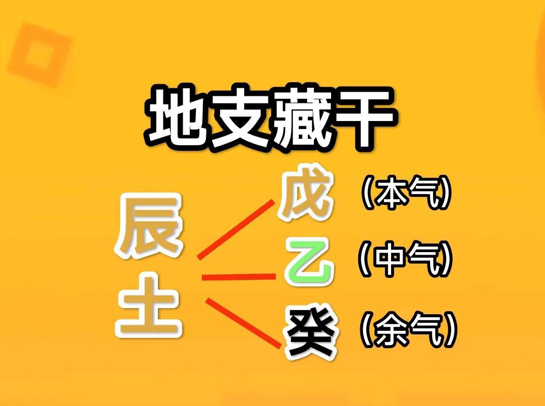 《地支藏干辰土解析》辰土是地支之一，五行属阳土，位居东南方（巽宫），对应农历三
