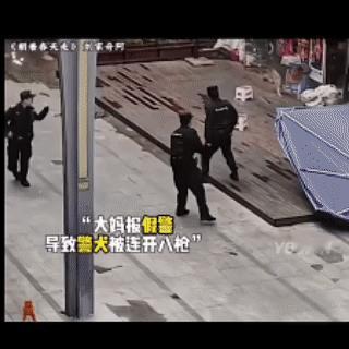 退役警犬悠闲地在路上走着，被路过的阿姨报假警说狗咬人，警察来后对着警犬连开8枪倒