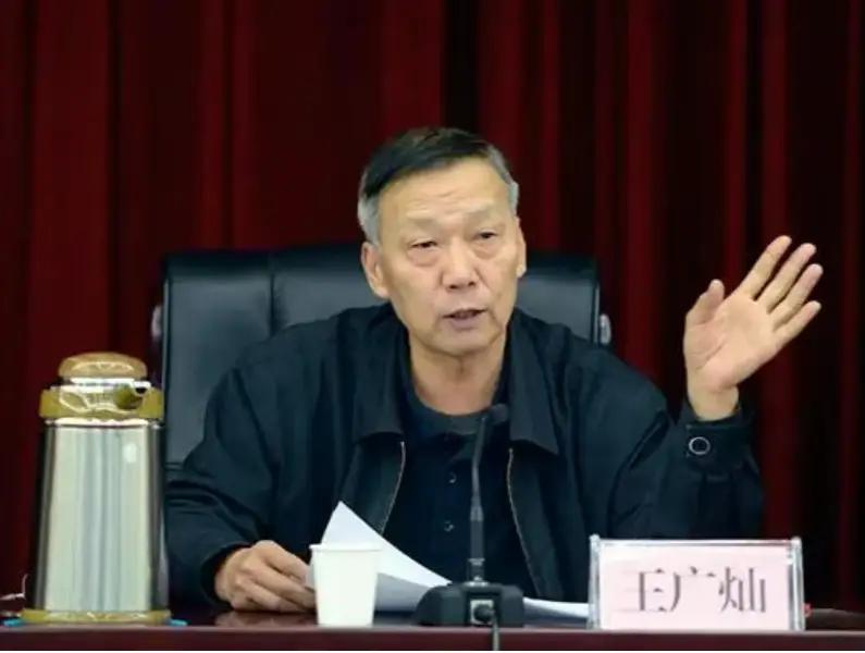 这是咋了，上月正厅广灿哥刚被拿下，这月原荥阳市委书记，郑州市人大副主任杰弟又被规