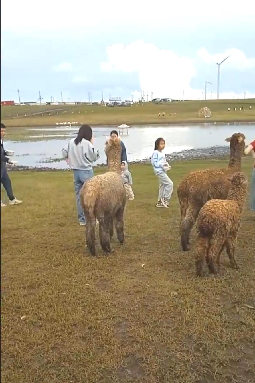 孩子学习成绩差有什么方法可以改变吗？孩子学习成绩差，办法还是有的。首先得分析原