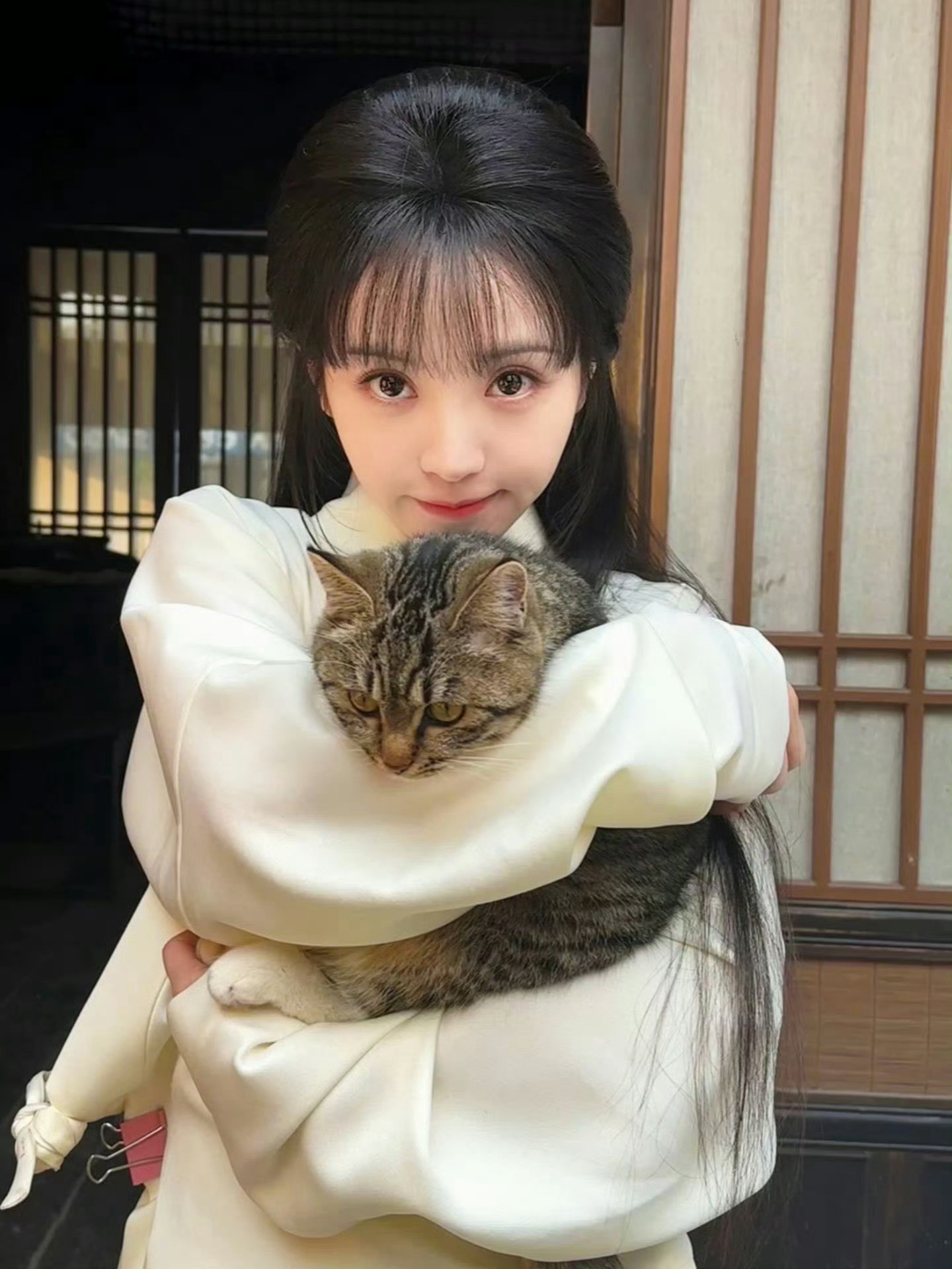 呀呀两只猫猫🐱好萌呦​​​