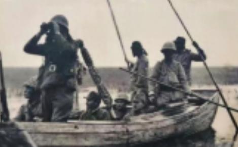 1944年，游击队因叛徒告密，躲进芦苇荡里啃了一个月芦苇，出来后却看到一名吃得白