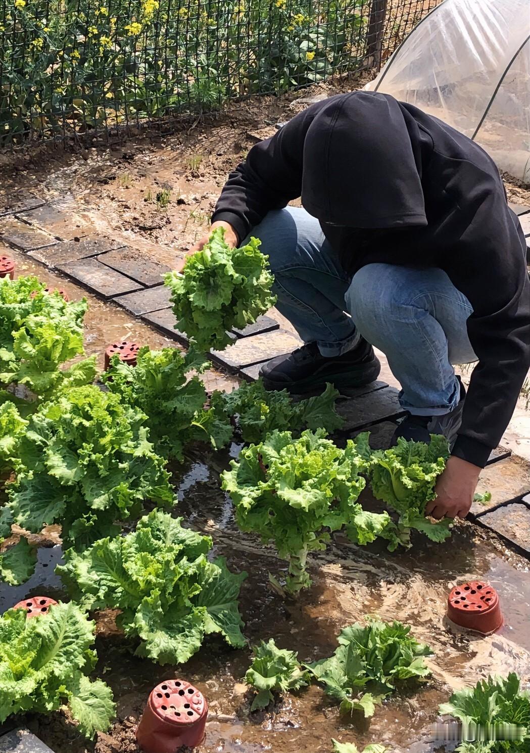 人呢，在自己年轻，身强力壮时总是会不自觉的说大话，我母亲就是一个例子。我清楚