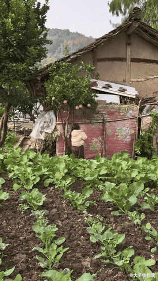 这一下，好像摘走了我的童年。