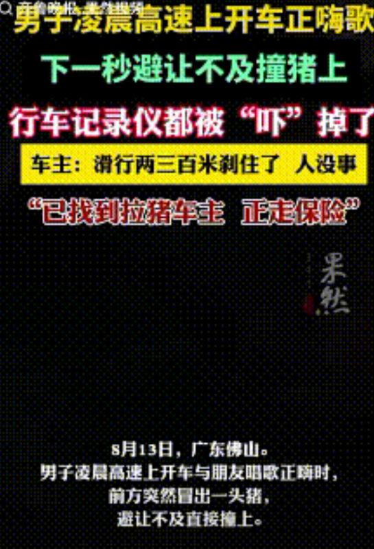 “飞来横祸”！广东佛山，男子凌晨开车行驶在高速上，和朋友唱的正嗨时，突然发现前面