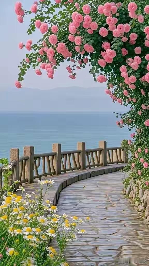 小舅子离婚了，净身出户。过几天要来我家住，我没同意，老婆就把我赶出来了，把房子给