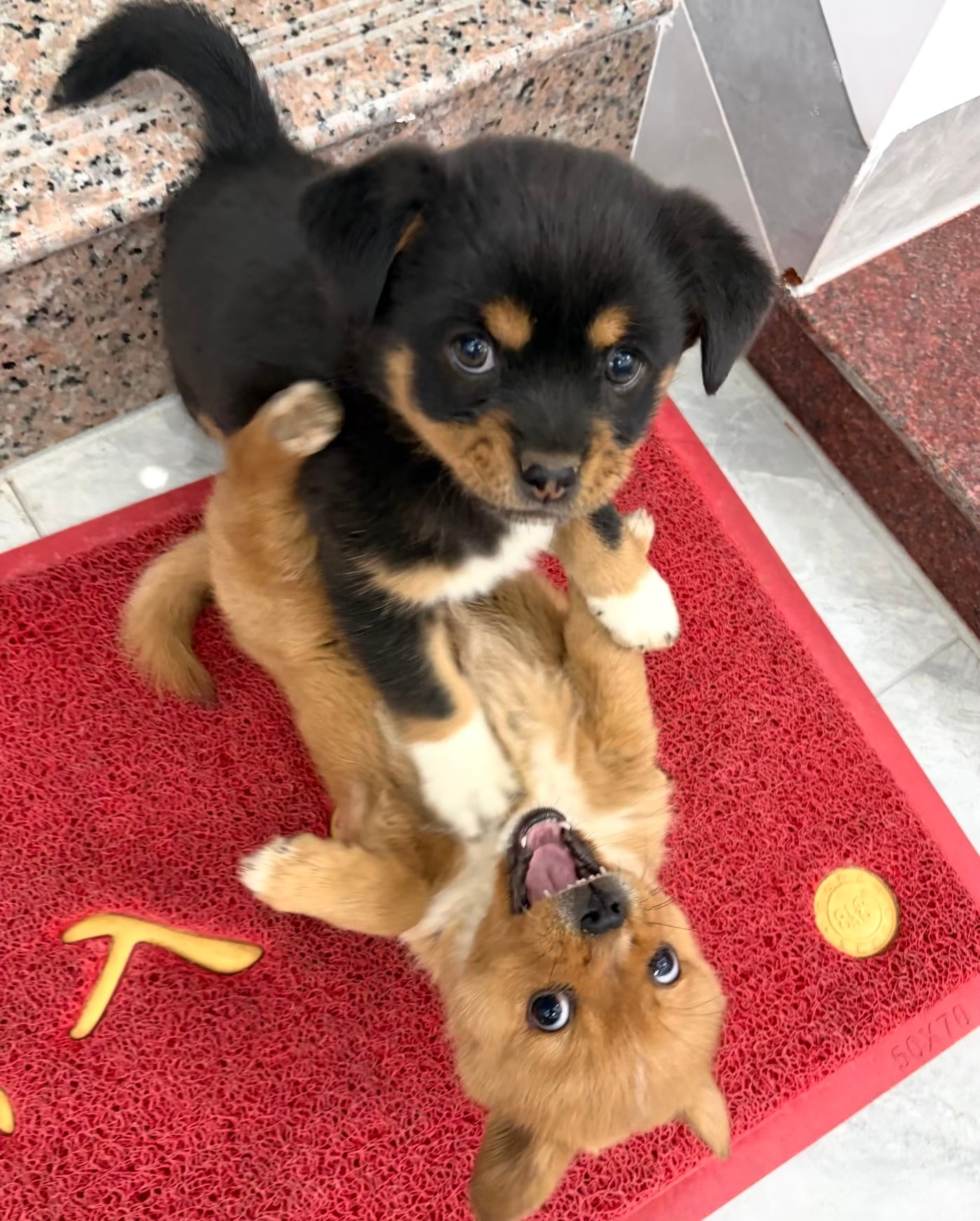 让你知道这个家谁说了算！